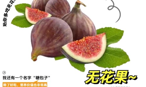南果梨功效-南果梨功效、南果梨的性味归经 -南果梨 营养成分网
